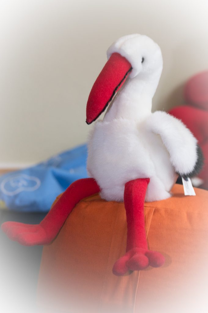 Storch in der Praxis von Babette Wegehaupt in Bremen